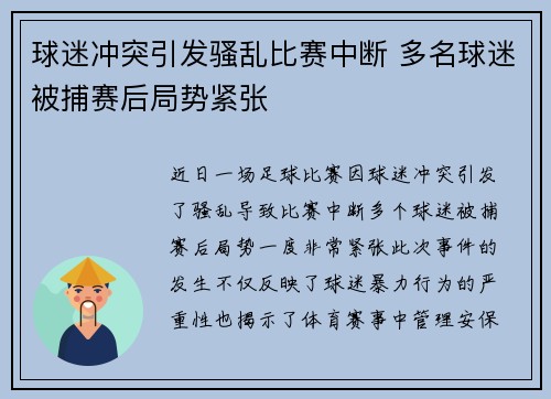 球迷冲突引发骚乱比赛中断 多名球迷被捕赛后局势紧张